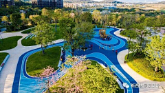 奔跑中的奶牛采集到儿童游乐场地