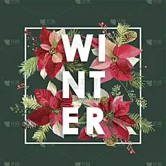 冬季圣诞设计在矢量。冬松花