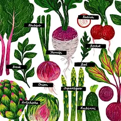 田园猫素材铺 (81)