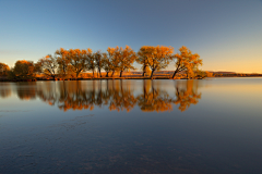 英国森林采集到lake5