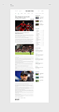 news newspapper sport politics Web Design  ux UI articles Web mobile
