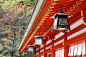 亚洲亚洲人佛教庆典庆典图片#日式庭院# #庭院# #花园# #城市# #日本市# #日本# #日式# #日本设计# #日式庭院# #日式设计# #日本风景# #日本建筑#