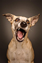 By Elke Vogelsang: 