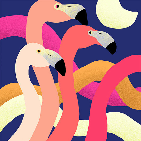flamingoillustrationcolors