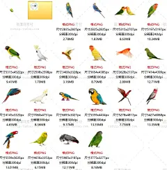 ps66|PNG免扣鹦鹉小鸟banner海报装饰点缀高清图片PS平面设计素材-淘宝网