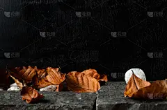 秋天棕色的树叶落在石头上，背景是黑色的木头。演示用的空白。