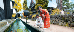 妖涅采集到日本