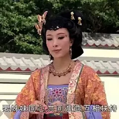 宫心计姐妹互撕表情包，适合跟姐妹聊天用_妹妹 : 为我们虚伪的姐妹情谊干杯 因为你是我的好姐妹 你居然害自己姐妹 你这种人配做我姐妹吗 既然姐姐可以，妹妹也一样可以 是妹妹不对，是妹妹错【搞笑表情包…