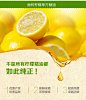 LUSUSS/丽时柠檬精油10ml 提亮肤色 香薰单方精油 精油芳疗护肤-tmall.com天猫