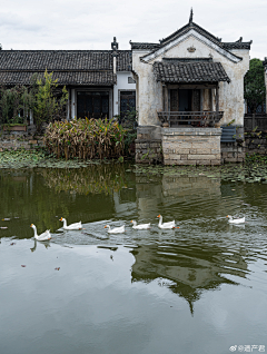 炽天使安仔采集到场景