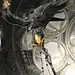 奇迹暖暖【幽羽跃金】动物乌鸦
