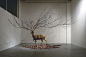 In one installation, a beautiful, still deer is acting as a trunk of a tree, with its antlers turning into tree branches. Description from beautifuldecay.com. I searched for this on bing.com/images