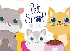 宠物店，可爱的动物仓鼠猫和兽医诊所的鸟食物