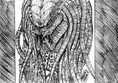 铁血战士Predator同人插画欣赏