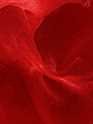红色简约肌理背景素材分享_9_设计素材_来自小红书网页版