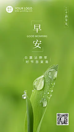 白露节气日签实景绿叶海报