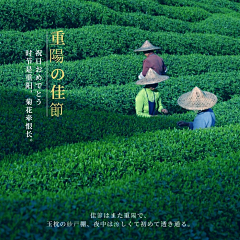 小舟123456采集到临时近期项目