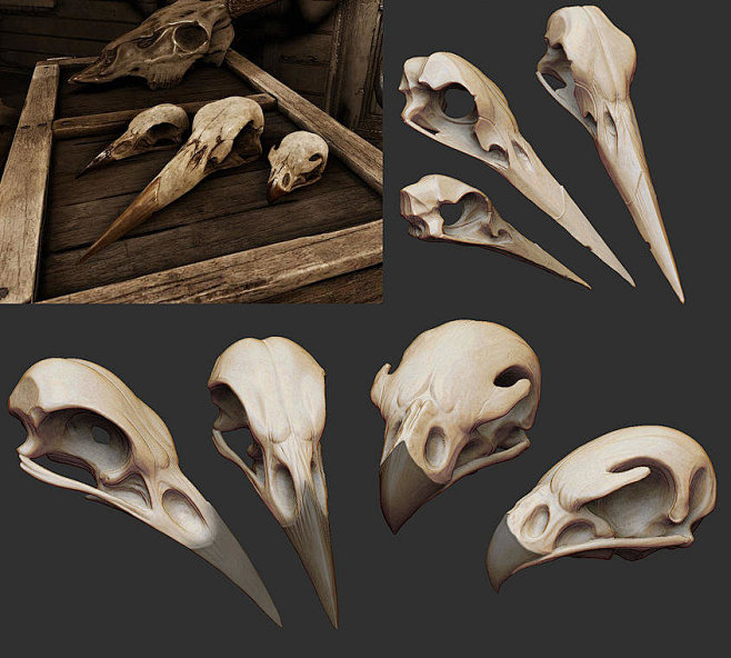 BirdSkulls, Ben Lewi...