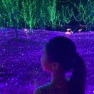 削眉毛
