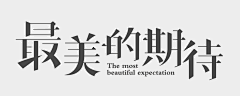 零度共情者采集到宋体字设计