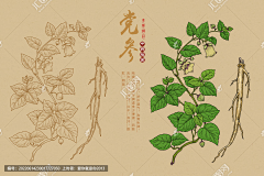 如鱼得水1+2采集到002-平面图