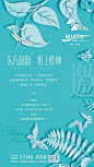 星河湾 活动