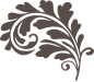 国外欧式复古边框花纹纹理图标LOGO装饰免抠PNG图案 (771)