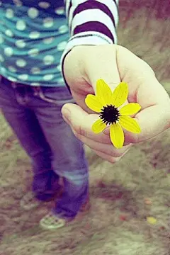 iPhone 非主流壁纸_iPhone5壁纸|iPhone4s壁纸|iPad2壁纸免费下载-苹果园