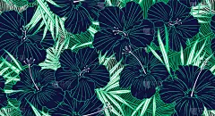 热带无缝模式。手绘纹理与棕榈树叶，芭蕉叶和芙蓉花。奇异的植物的背景。
