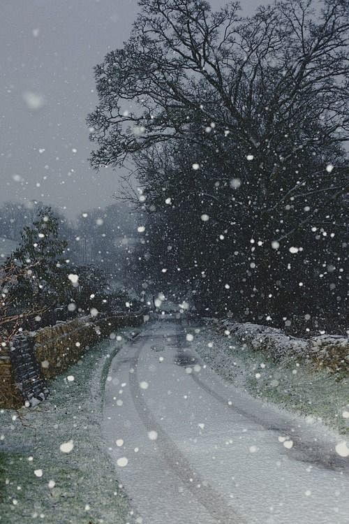  下雪天，科茨沃尔德，英格兰