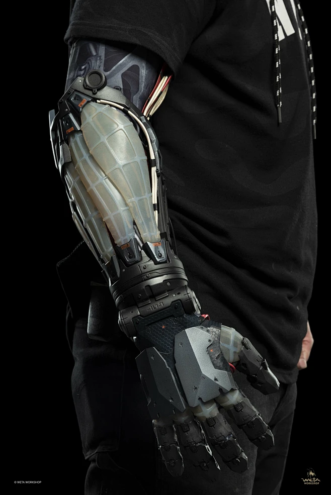 Bloodshot - Harting's Arm, Tarn Greenlaw : During this project at Weta ...