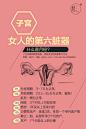 女性 子宫保养 酵老师净暖