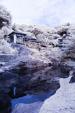 叶水乐采集到冰雪冻
