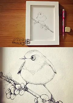 小鸟 米米西古 小米的画 原创手绘 照片墙  森女