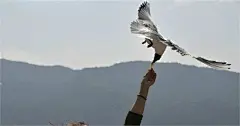 滇池景点图片