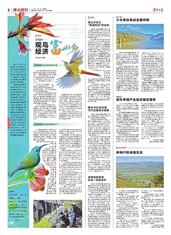 保山特刊_云南日报