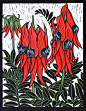 Australian Flowers - Linocuts : Linocuts by artist Rachel Newling of Australian flowers, Waratah, Gymea 
Lily, Banksia, Bottle Brush, Flannel Flower, Kangaroo Paw, .Cooktown 
Orchid, Sturt's Desert Pea, Lotus, Waterlily & Native Hibiscus. Linocuts 
ar