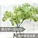 角落里的婧婧
