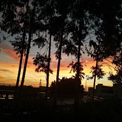 QQ名片背景