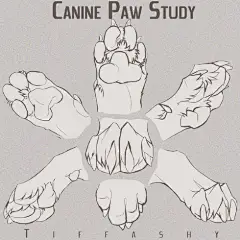 #设计秀# 动漫犬科动物绘画设计参考！自己借鉴，转需~