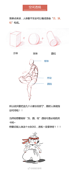 木槿海棠采集到春哥人体