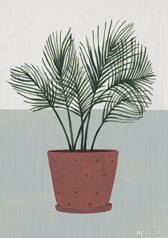 Aluo田小螺采集到花草植物插画