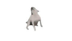 _彭于晏采集到哈哈哈哈