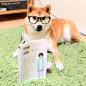 読書の秋 タフで優しい男になる!眼鏡男柴<br/>Daufuku likes reading books<br/>#ブログ更新したよ <br/>#urlはプロフィールにあるよ <br/><a class="text-meta meta-tag" href="/search/?q=weeklyfluff ">#weeklyfluff #</a>ふわもこ部 <a class="tex