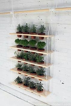 Vertical Gardening I...
