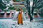 少林,寺庙,勇士,少林寺,河南省正版图片素材
