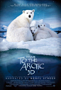 《北极》：一部IMAX3D 纪录片，影片由美国著名纪录片导演格雷戈·迈吉里弗雷执导，奥斯卡影后梅里尔·斯特里普为其叙述旁白，奥斯卡金像奖保罗·麦卡特尼为其操刀配乐，制作阵容可谓十分强大。
