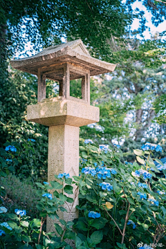 豆芽君的haru酱采集到风景