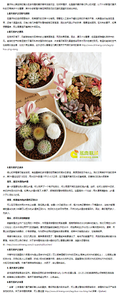 筱筱猪采集到肉
