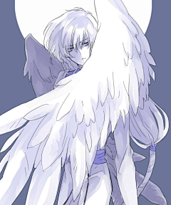 落薇薇采集到魔卡少女樱